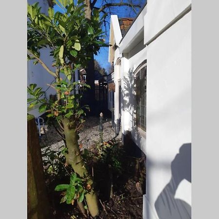Oranjerie, 7 Km Onder Groningen Lejlighed Paterswolde Eksteriør billede